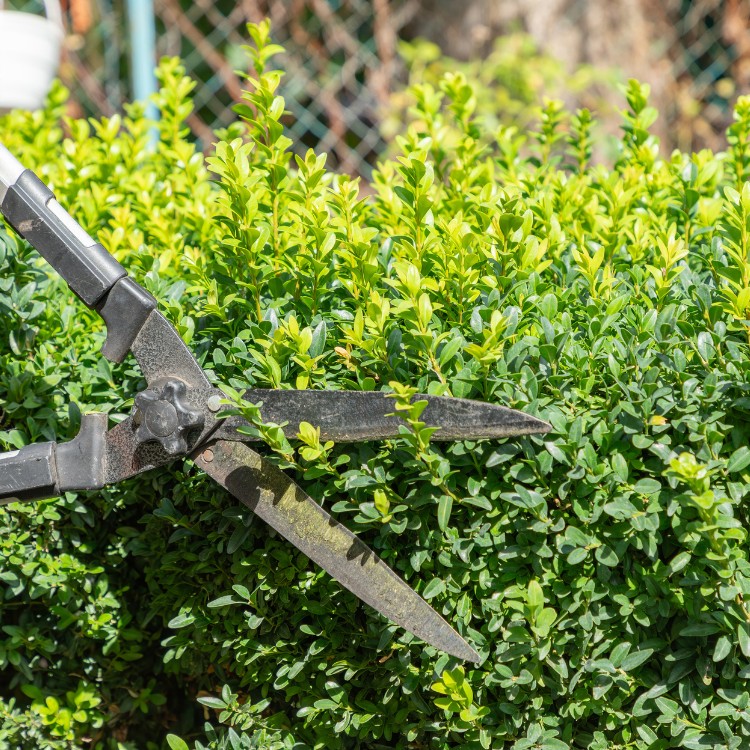 Just another WordPress site